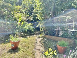 Photo 38- click for photo gallery